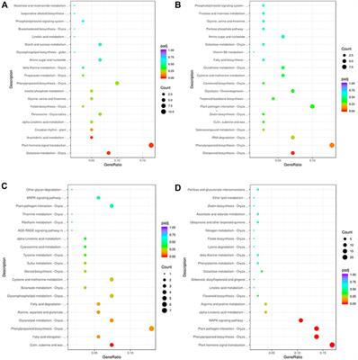 Transcriptomics and metabolomics reveal tolerance new mechanism of rice roots to Al stress